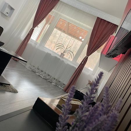 Aky Residence Slănic-Moldova Dış mekan fotoğraf