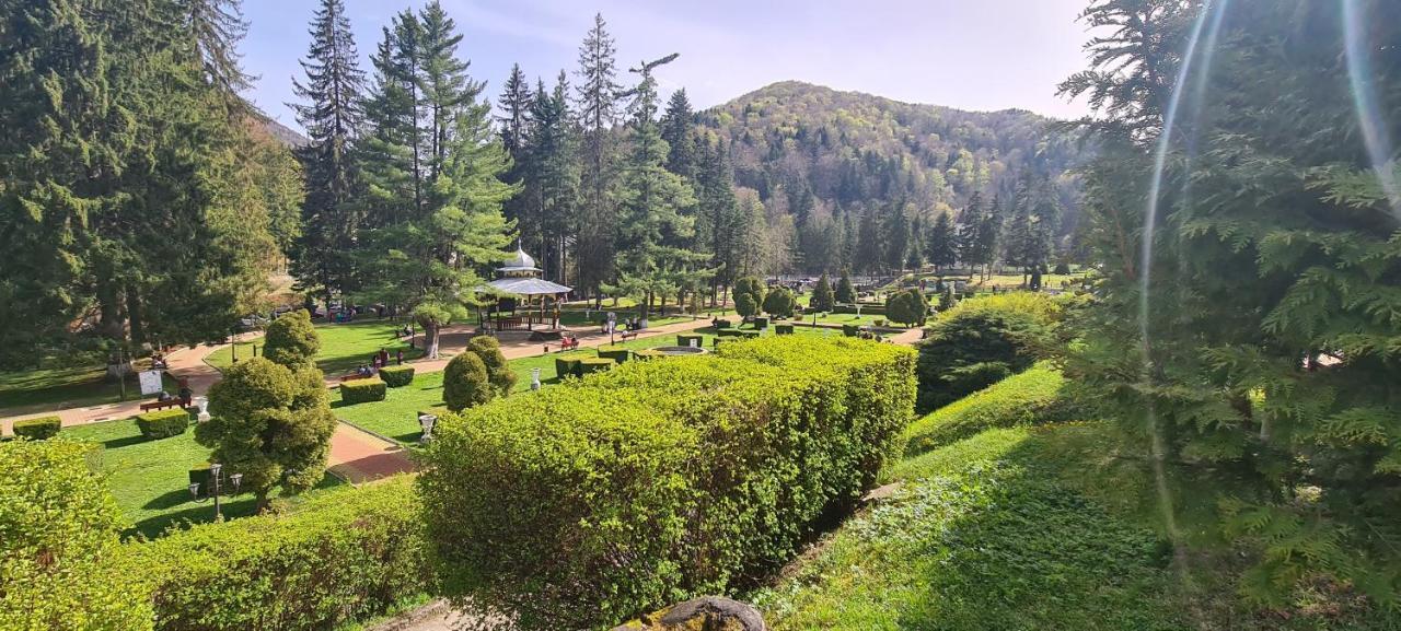 Aky Residence Slănic-Moldova Dış mekan fotoğraf