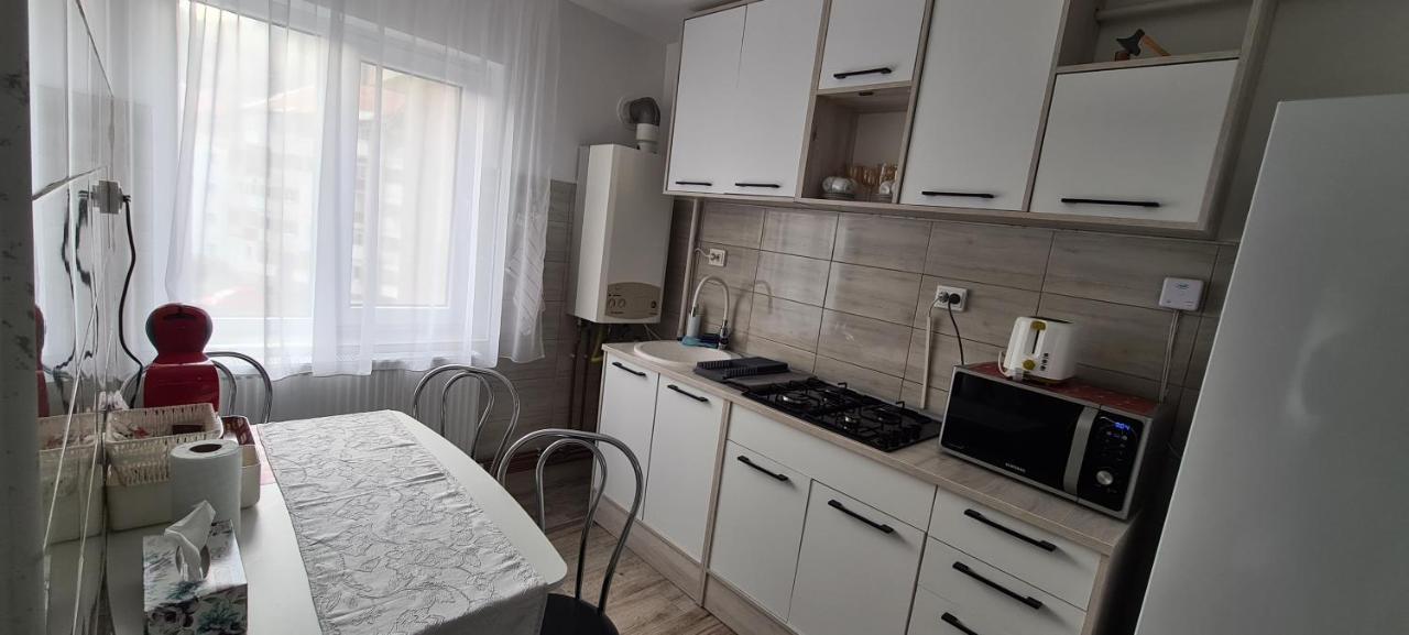 Aky Residence Slănic-Moldova Dış mekan fotoğraf
