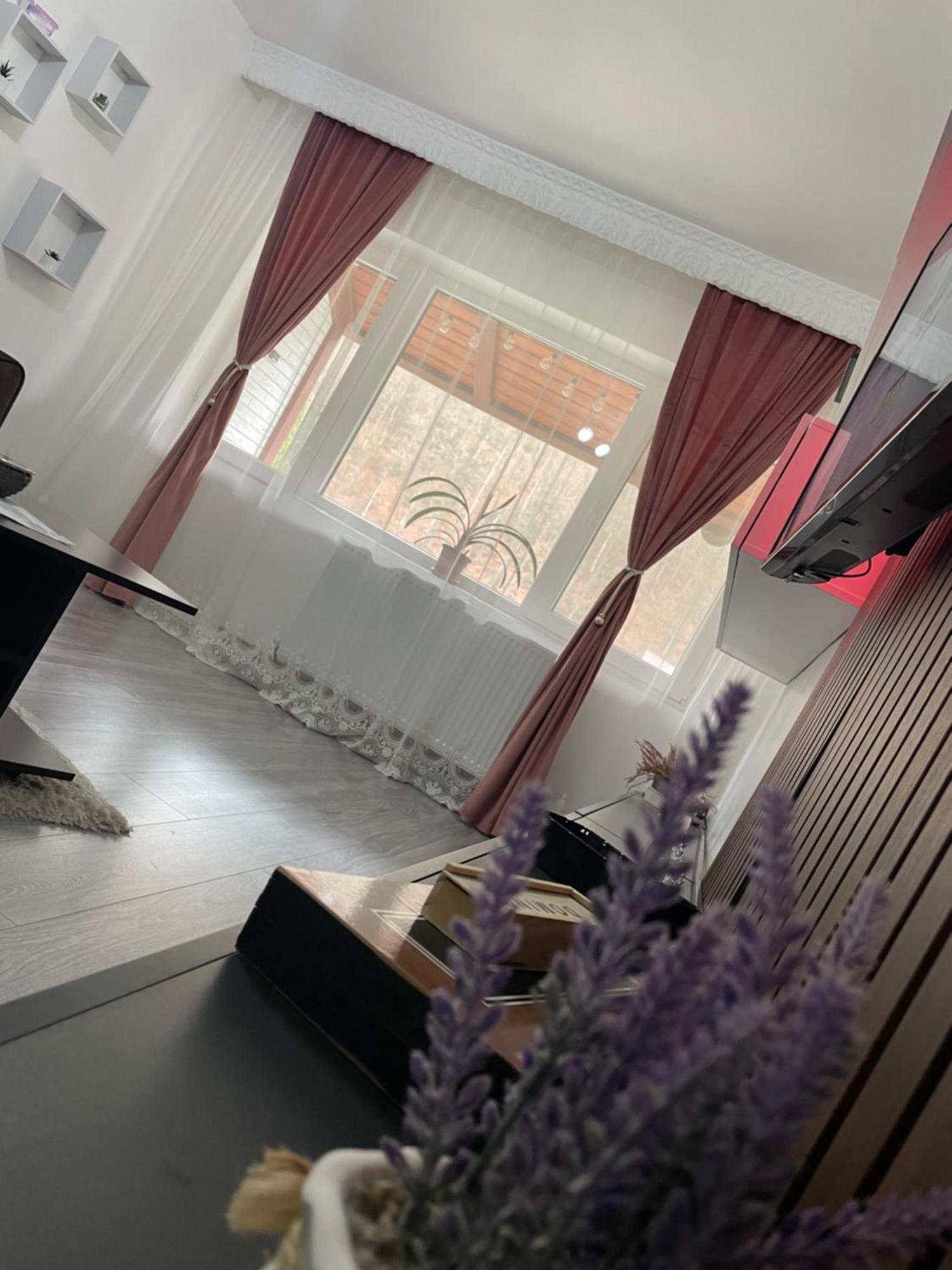 Aky Residence Slănic-Moldova Dış mekan fotoğraf